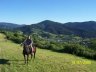 Carpathians-four-seasons-6.jpg - 